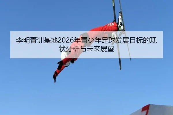 li-ming-qing-xun-ji-di-nian-qing-shao-nian-zu-qiu-fa-zhan-mu-biao-de-xian-zhuang-fen-xi-yu-wei-lai-zhan-wang-2-235.jpg