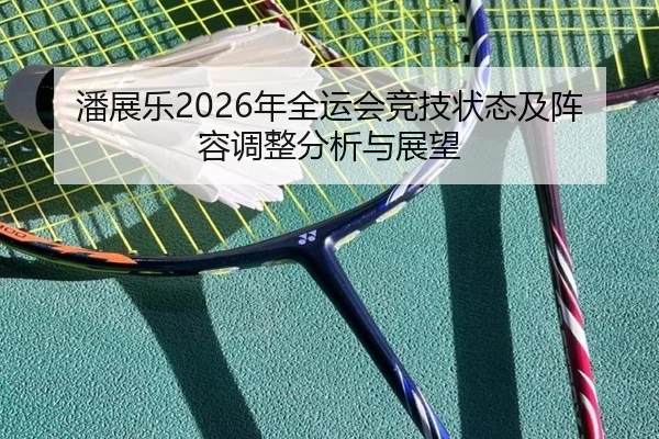 潘展乐2026年全运会竞技状态及阵容调整分析与展望