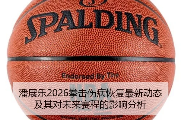 潘展乐2026拳击伤病恢复最新动态及其对未来赛程的影响分析